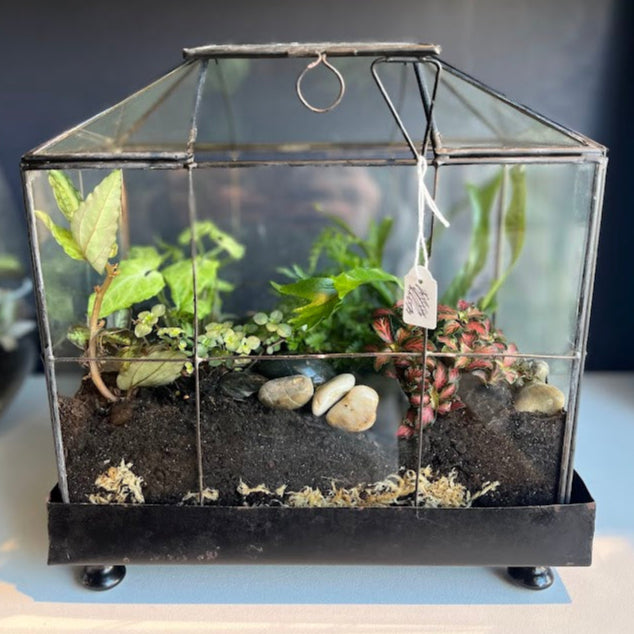 Terrariums - Closed