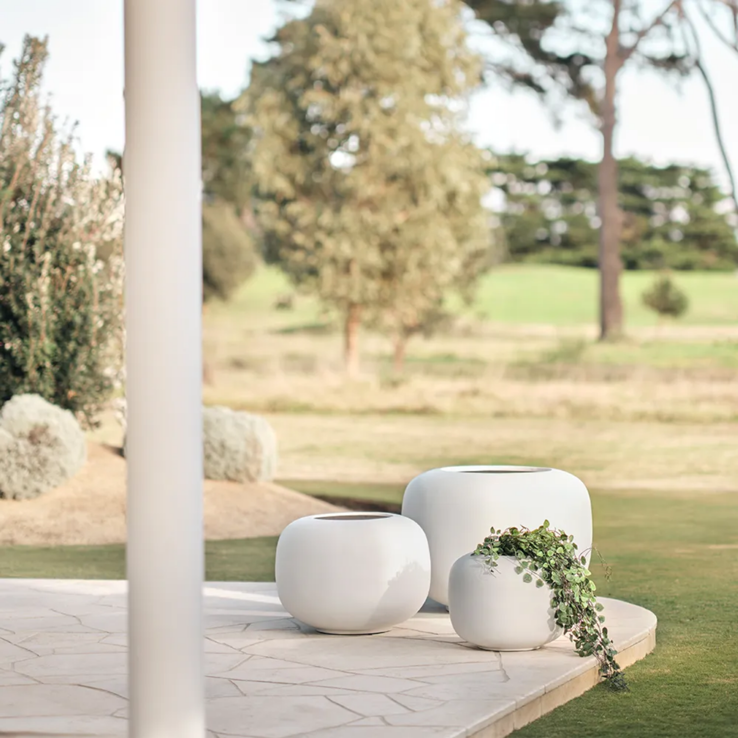 White outdoor planters with greenery on a patio
