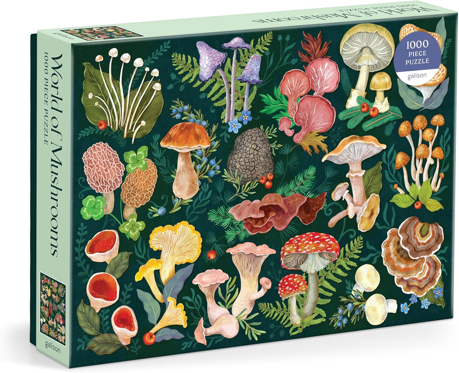 Puzzle - World of Mushrooms 1000 Piece