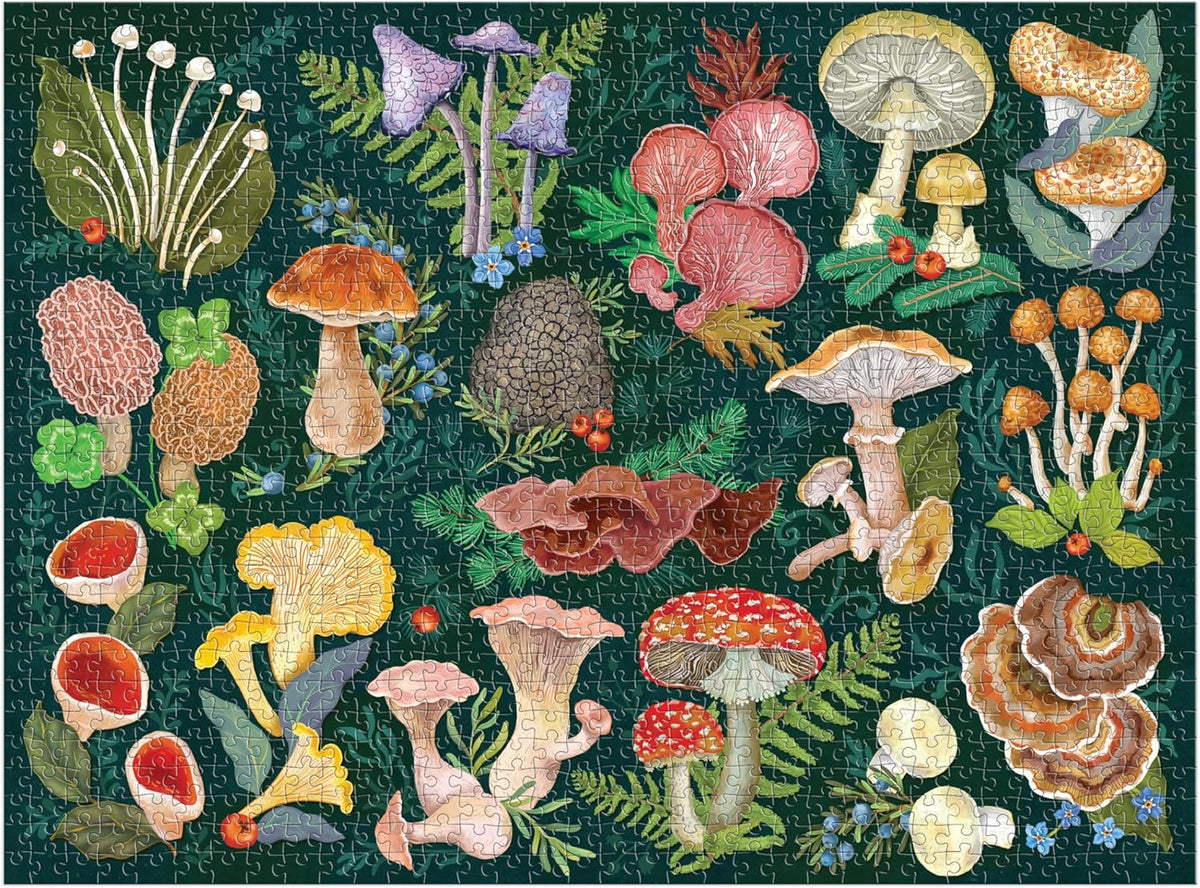 Puzzle - World of Mushrooms 1000 pieces