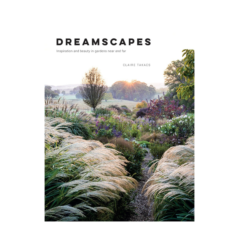 Book - Dreamscapes - Claire Takacs