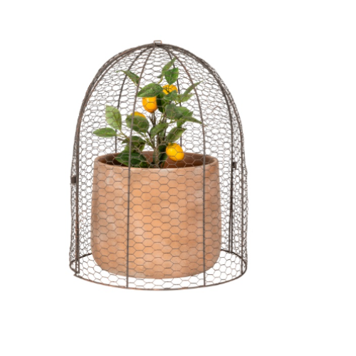Rustic Wire Dome Garden Cloche - PREORDER NOW