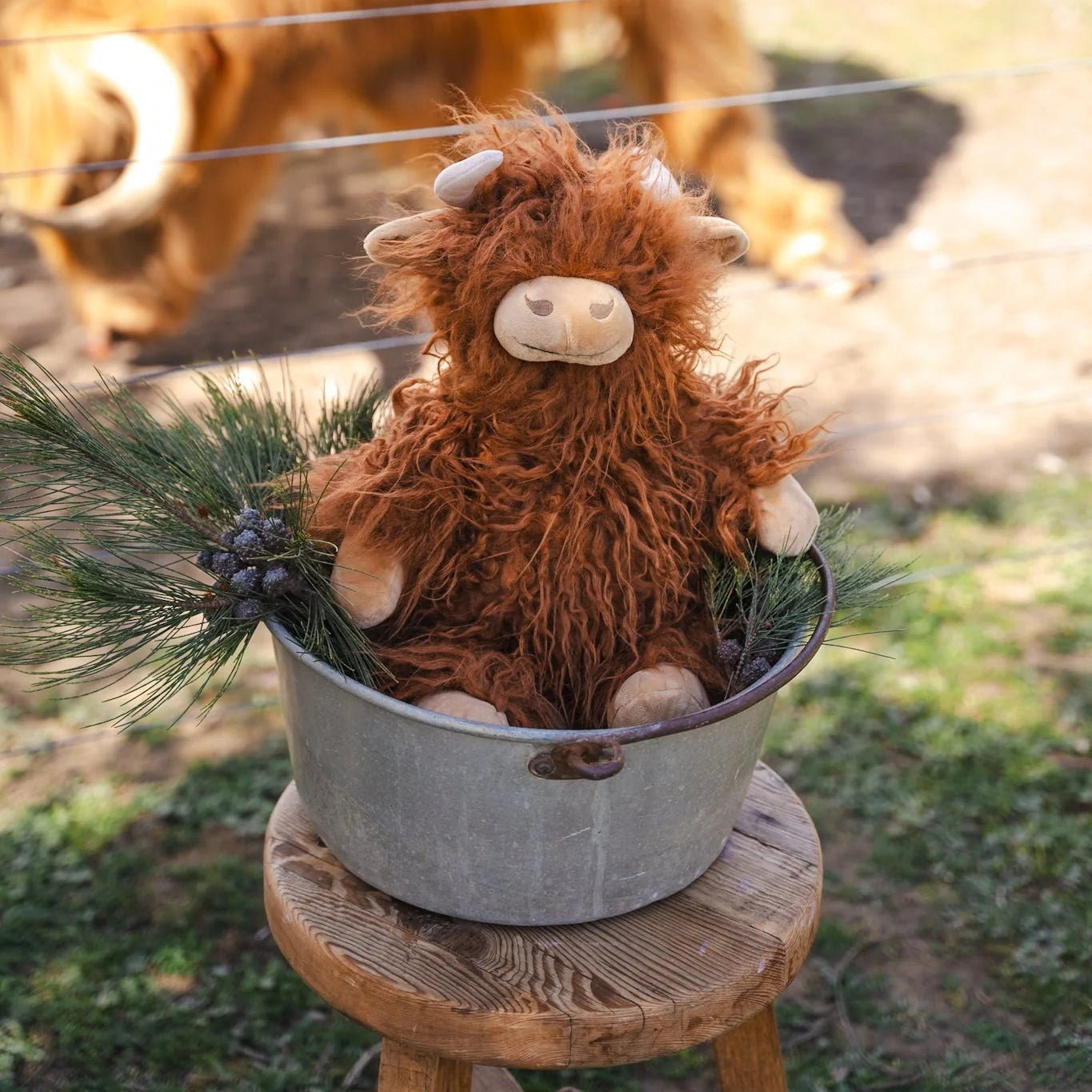 Soft Toy - Henry the Highland Cow