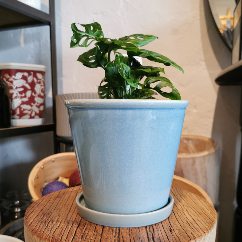 Ceramic Pot with Saucer - Light Blue