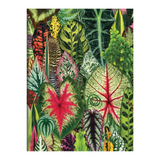 Notecards - Houseplant Jungle - Set of 16