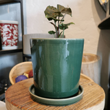 Ceramic Pot with Saucer