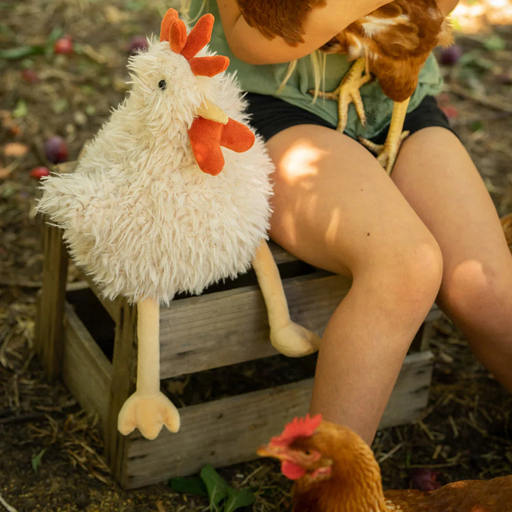 Person holding a plush rooster toy outdoors