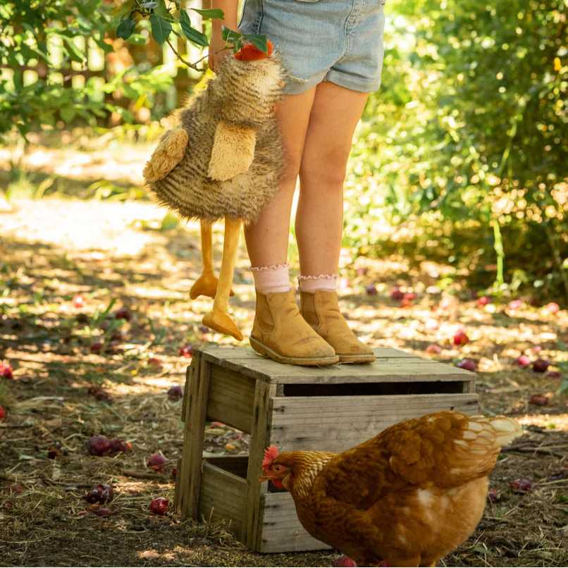 Young girl in an apple orchard with a rooster soft toy and chickens.