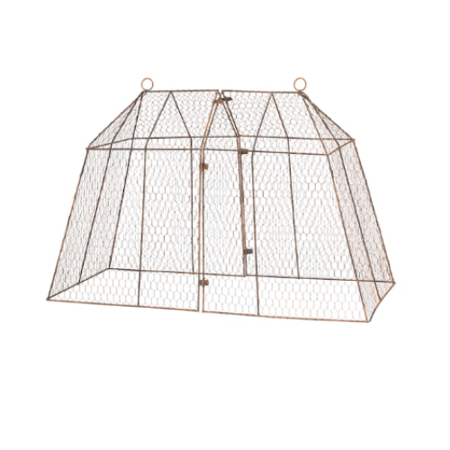 Botanical Wire Garden Cloche - PREORDER NOW