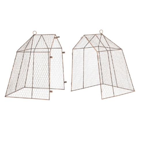 Botanical Wire Garden Cloche - PREORDER NOW