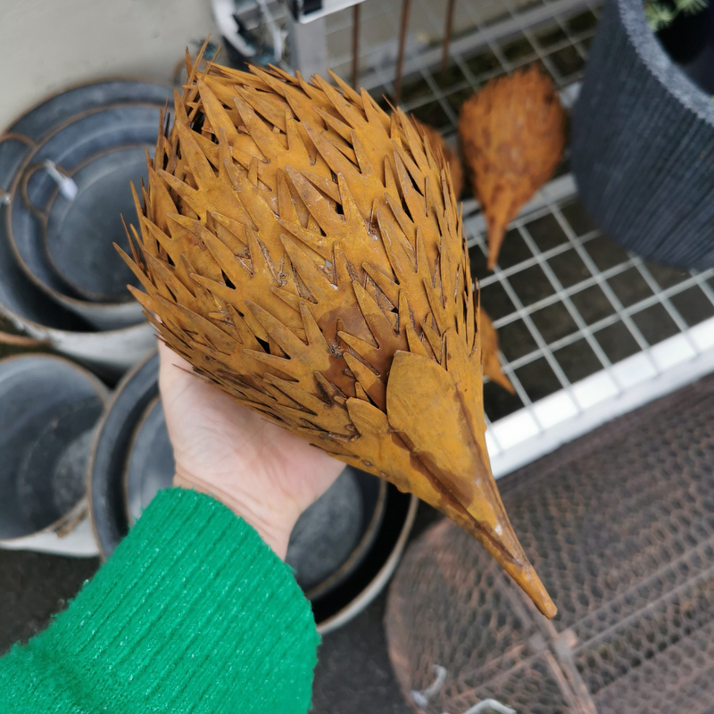 Rusty Echidna