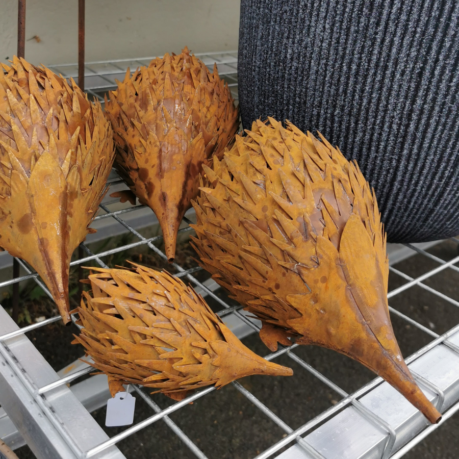 Rusty Echidna