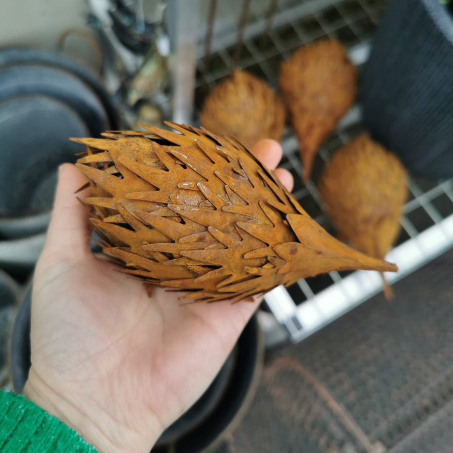 Rusty Echidna