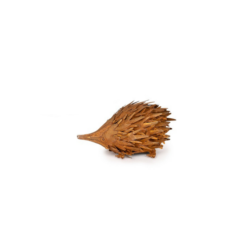 Rusty Echidna