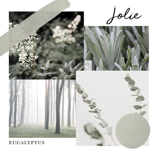 Jolie EUCALYPTUS Premium Paint