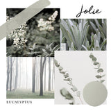 Jolie EUCALYPTUS Premium Paint