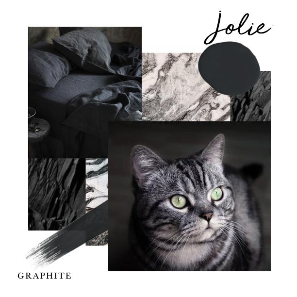 Jolie GRAPHITE Premium Paint