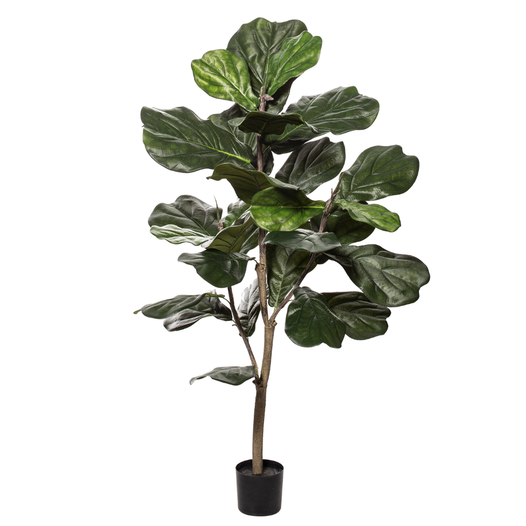 Faux Fiddle Leaf Fig