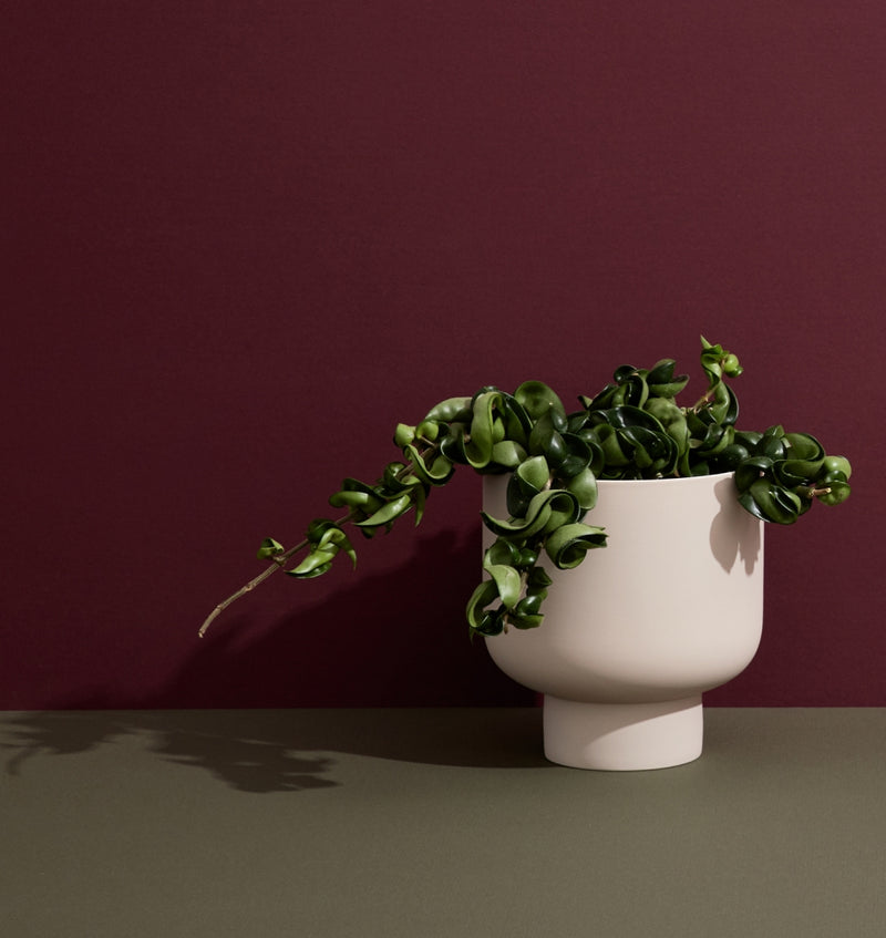 Pedestal Pots - Indoor Porcelain Planter - in 5 Colours